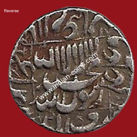 Kashmir Mint